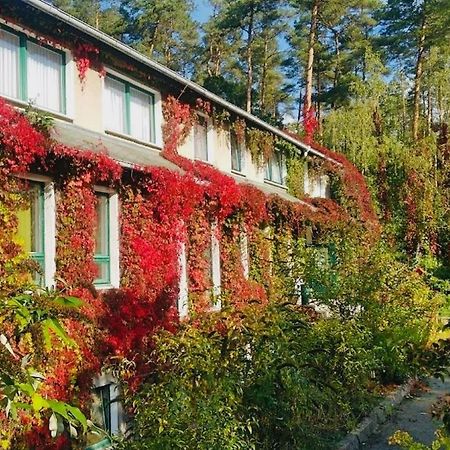 Pension Zur Fledermaus Waren  Exteriör bild